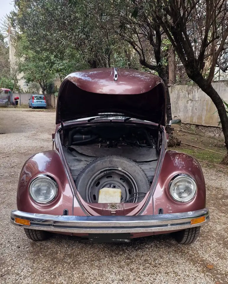 Volkswagen Maggiolino 1.2 L (messico), foto 3