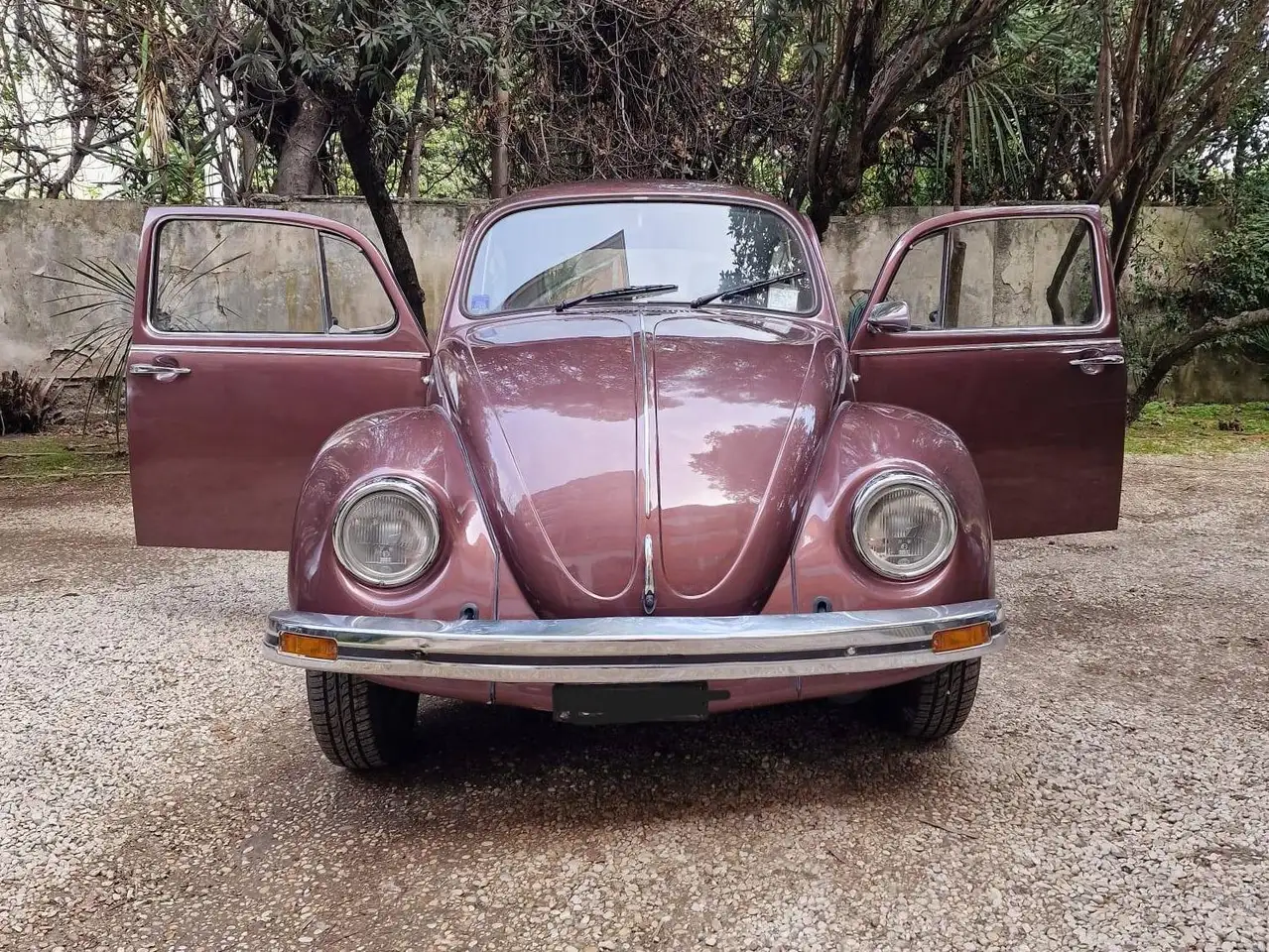 Volkswagen Maggiolino 1.2 L (messico), foto 6