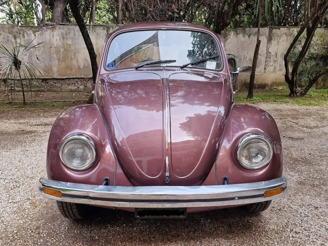 Volkswagen Maggiolino 1.2 L (messico), foto 2