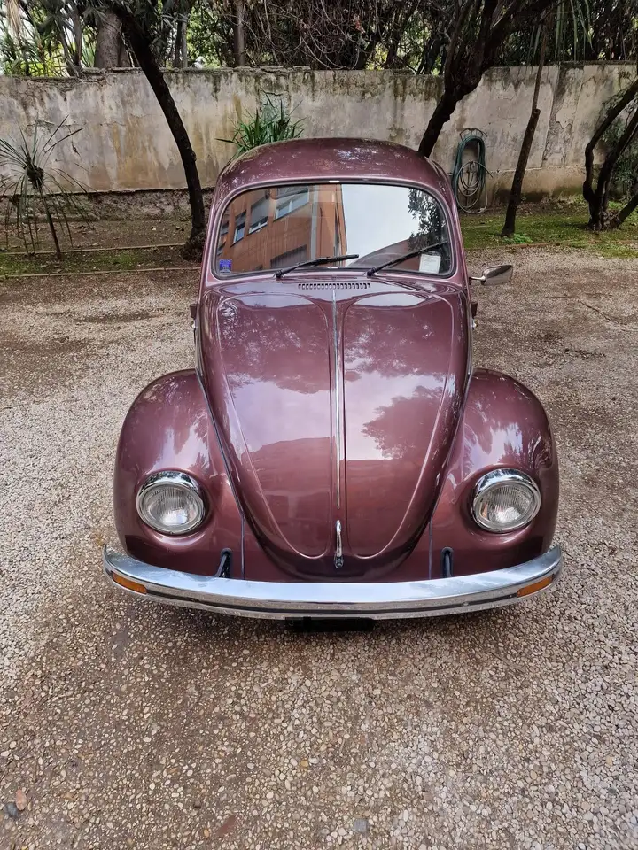 Volkswagen Maggiolino 1.2 L (messico), foto 4