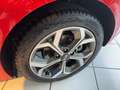 Kia Ceed / cee'd CEED Spirit 1.4T LED+Navigation+Kamera+SHZ Rot - thumbnail 14