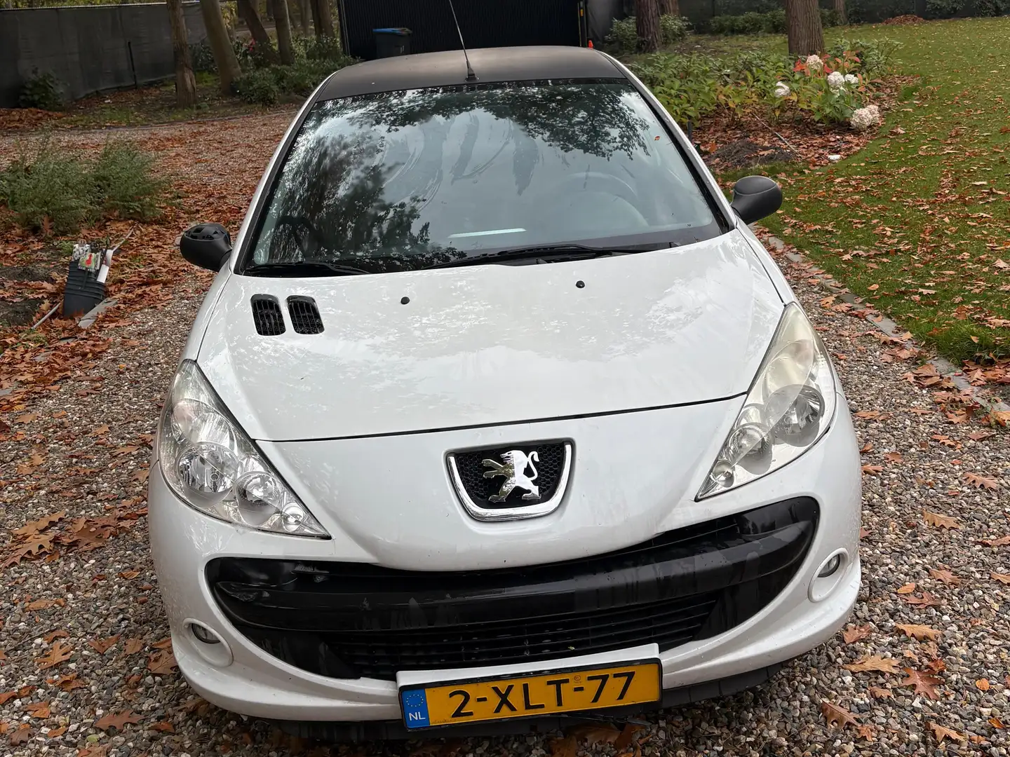 Peugeot 206 206 1.4 XS Wit - 2