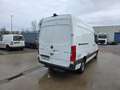 Mercedes-Benz Sprinter 314 (Stock ID 03771) Weiß - thumbnail 11