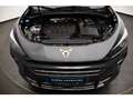 CUPRA Terramar 2.0 TSI DSG 4DRIVE STANDHZ/AHK/SENNHEIS Grau - thumbnail 13