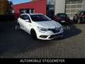 Renault Megane IV Grandtour Business Edition Navi,Klimaa Weiß - thumbnail 9