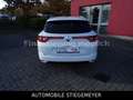 Renault Megane IV Grandtour Business Edition Navi,Klimaa Weiß - thumbnail 5