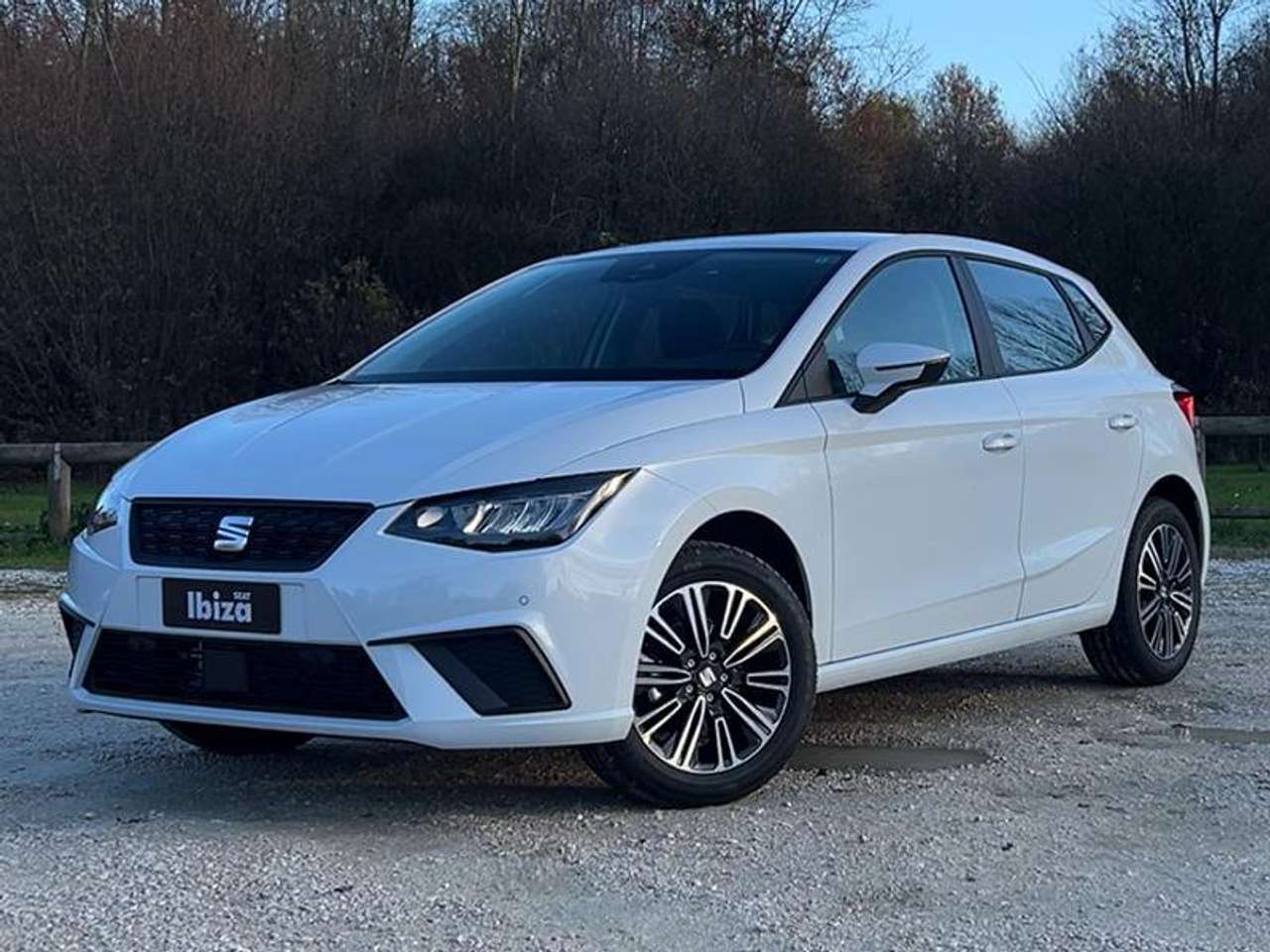 SEAT Ibiza Ibiza 1.0 EcoTSI 95 CV 5 porte Style