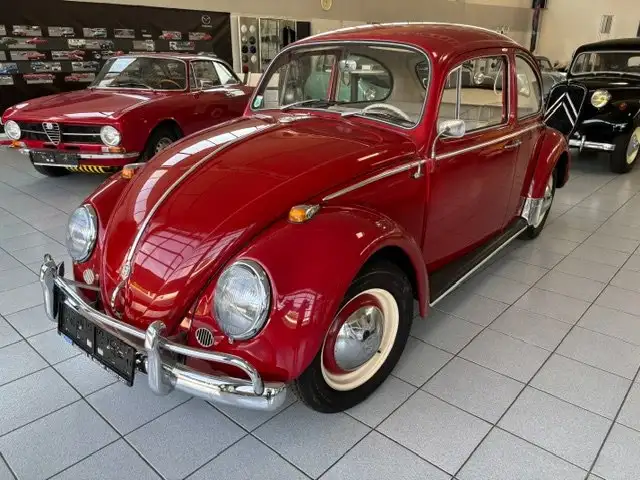 Volkswagen Käfer Typppe 11 Luxus