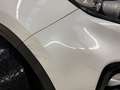 Kia Sportage Sportage 1.6 CRDi More DCT Bianco - thumbnail 6