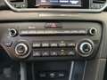 Kia Sportage 1.6 CRDI 115 CV 2WD Energy Rosso - thumbnail 15