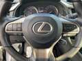Lexus RX 450h Style Panodach*Sitzheizung*Sitzbelüftung Gris - thumbnail 17