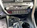 Lexus RX 450h Style Panodach*Sitzheizung*Sitzbelüftung Gris - thumbnail 13