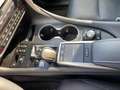 Lexus RX 450h Style Panodach*Sitzheizung*Sitzbelüftung Gris - thumbnail 14