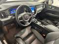 Volvo XC60 XC60 T6 Recharge Ultra  Dark Ultra Dark Blanco - thumbnail 5