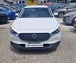 Mazda CX-30 2.0 m-hybrid Evolve 2wd 122cv 6mt Bianco - thumbnail 2