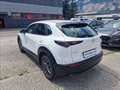Mazda CX-30 2.0 m-hybrid Evolve 2wd 122cv 6mt Bianco - thumbnail 7