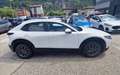 Mazda CX-30 2.0 m-hybrid Evolve 2wd 122cv 6mt Bianco - thumbnail 4