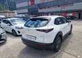 Mazda CX-30 2.0 m-hybrid Evolve 2wd 122cv 6mt Bianco - thumbnail 5
