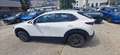 Mazda CX-30 2.0 m-hybrid Evolve 2wd 122cv 6mt Bianco - thumbnail 8