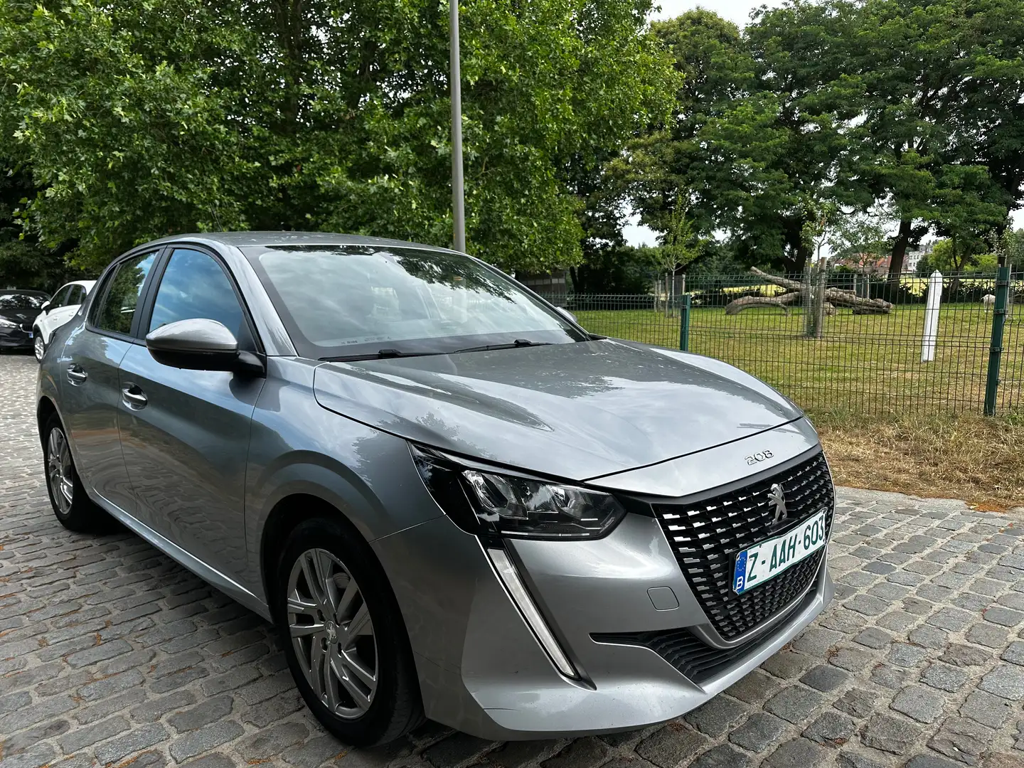 Peugeot 208 1.5 BlueHDi Gris - 1