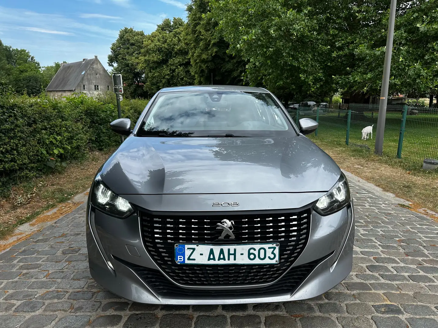 Peugeot 208 1.5 BlueHDi Gris - 2