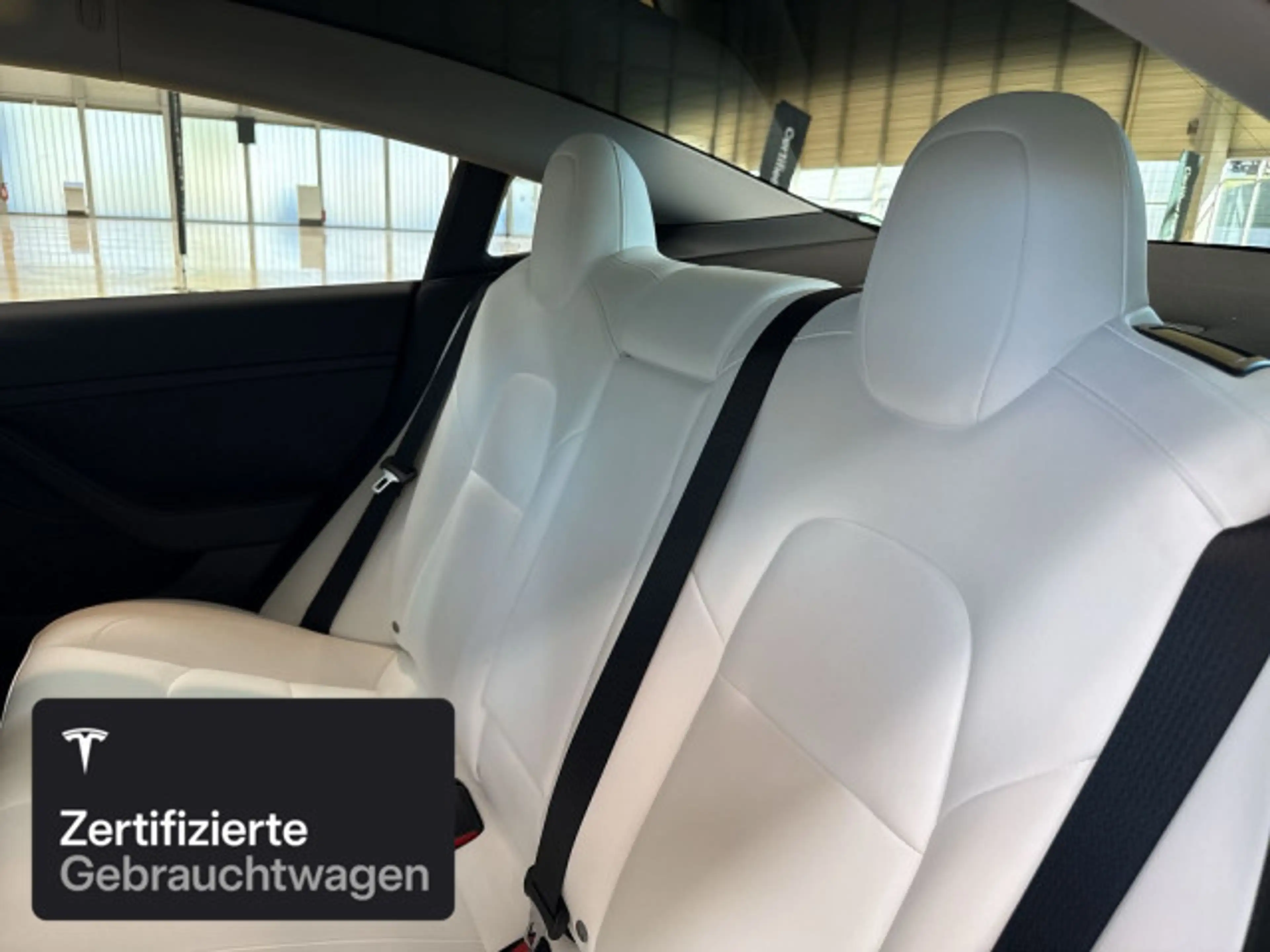 Tesla Model 3 Rear-Wheel Drive — photo 12