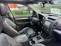 Kia Sorento Sorento 2.0 CRDi 2WD Fusion 7pl. Nero - thumbnail 14