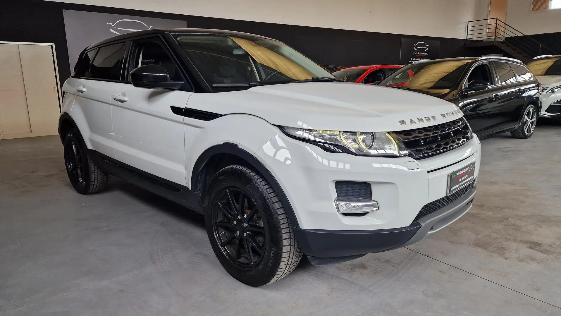 Land Rover Range Rover Evoque Range Rover Evoque 5p 2.2 td4 Pure 150cv auto 9m White - 1