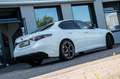 Alfa Romeo Giulia MY 24 Veloce 2.0 AT8 Q4 Tech+Prem-Paket Weiß - thumbnail 2