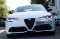 Alfa Romeo Giulia MY 24 Veloce 2.0 AT8 Q4 Tech+Prem-Paket Weiß - thumbnail 5