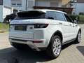 Land Rover Range Rover Evoque Dynamic/NAVI/PDC/ 1J.Garantie Blanc - thumbnail 5