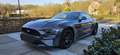 Ford Mustang Mustang Fastback 2.3 Eco Boost Aut. Grijs - thumbnail 1