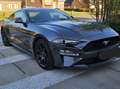 Ford Mustang Mustang Fastback 2.3 Eco Boost Aut. Grijs - thumbnail 2