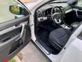 Kia Sorento 2,2 CRDi Active 4WD *ALLRAD* Automatic-Top Zustand White - thumbnail 11