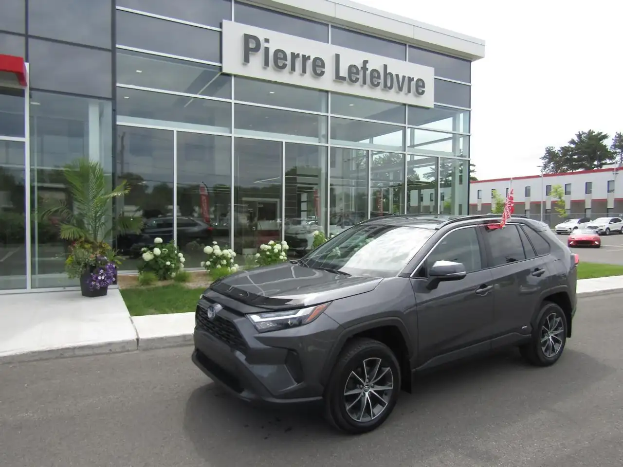 2024 Toyota RAV 4