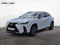 Lexus UX 250h F SPORT - thumbnail 1