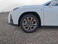 Lexus UX 250h F SPORT - thumbnail 14