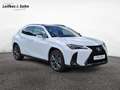 Lexus UX 250h F SPORT - thumbnail 7