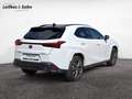 Lexus UX 250h F SPORT - thumbnail 5