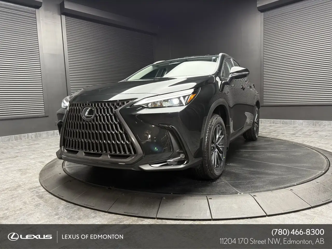 2026 Lexus NX