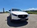 Mazda CX-30 e-Skyactive G140 Homura Weiß - thumbnail 4