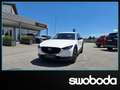 Mazda CX-30 e-Skyactive G140 Homura Weiß - thumbnail 1