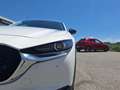 Mazda CX-30 e-Skyactive G140 Homura Weiß - thumbnail 33