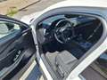 Mazda CX-30 e-Skyactive G140 Homura Weiß - thumbnail 10