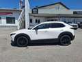 Mazda CX-30 e-Skyactive G140 Homura Weiß - thumbnail 8