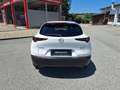 Mazda CX-30 e-Skyactive G140 Homura Weiß - thumbnail 6