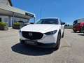 Mazda CX-30 e-Skyactive G140 Homura Weiß - thumbnail 2