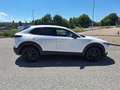 Mazda CX-30 e-Skyactive G140 Homura Weiß - thumbnail 9