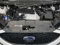 Ford Edge 2.0 EcoBlue ST-Line 4x4 S/S Standheizung White - thumbnail 14