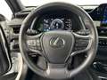 Lexus UX 250h Base Carplay Android Weiß - thumbnail 21